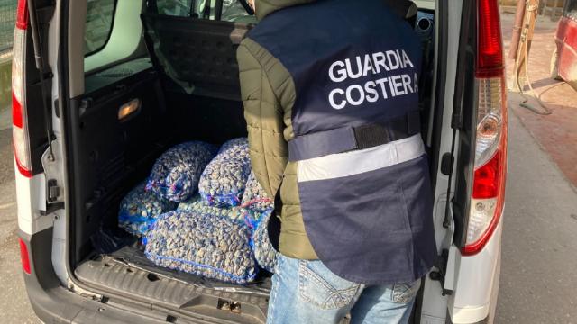 Cupra Marittima, sanzionato operatore del settore ittico e sequestrati 130 chili di vongole