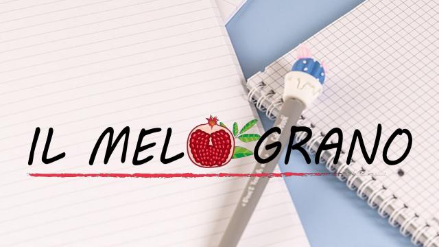 Ascoli Piceno, ''Melograno Cooperativa Sociale'': attivato per il terzo anno scolastico il Doposcuola