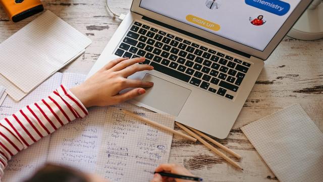 Ascoli Piceno, progetto ''Bussola Digitale'', corsi gratuiti aperti a tutti