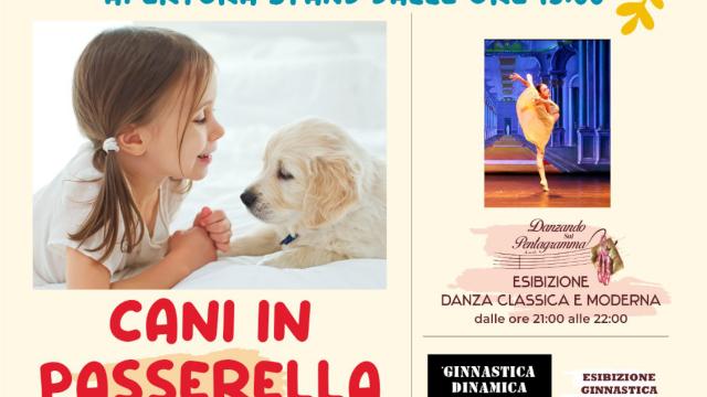 Monteprandone, 'Festa delle Associazioni' al Centro Pacetti con 'cani in passerella' e serata di balli