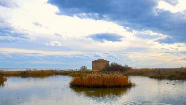 Riserva Naturale Sentina: torna l’iniziativa ''Passeggia – Osserva – Raccogli'' promossa da Legambiente
