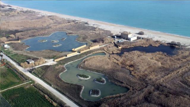 Riserva Naturale Sentina, dalla Regione contributo di 22mila euro per la difesa dalle specie invasive 