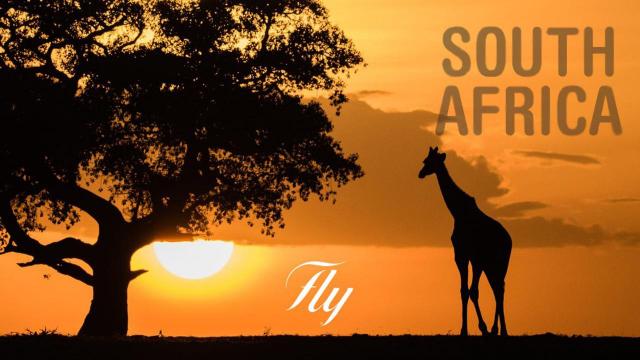 Ascoli Piceno, 'Fly to South Africa': avviato il progetto della Fly Communications con il patrocinio del Comune 