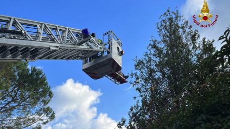 Pollenza, cade e resta impigliato all’albero durante lavori di potatura. Intervenuti Vigili del Fuoco ed eliambulanza