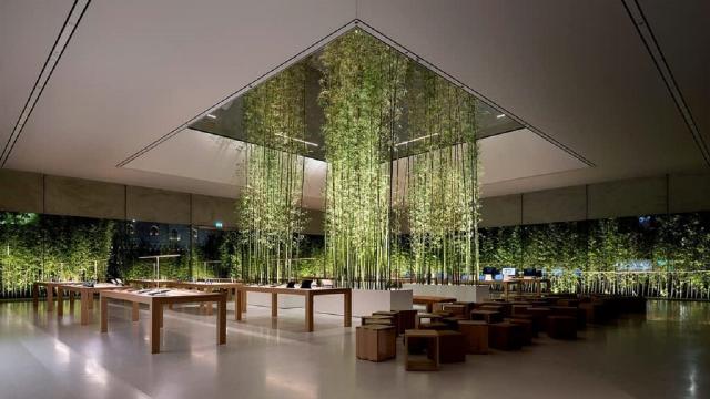 Anche in Italia cresce la richiesta per l’architettura biofilica nel 2022 
