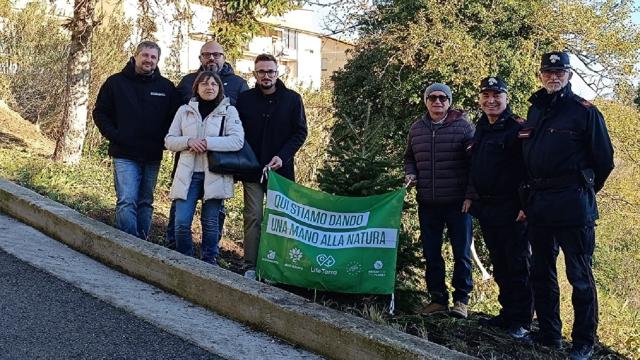 Festa dell'Albero a Ripatransone: piantato un abete con i ragazzi dell'Istituto Scolastico Comprensivo