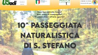 0106DFDE-7F85-11ED-8E3D-73CBC14C915C.jpg