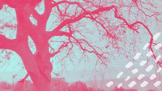 025A0CA8-AD8B-11EB-ABF7-B1753655F3F5.jpg
