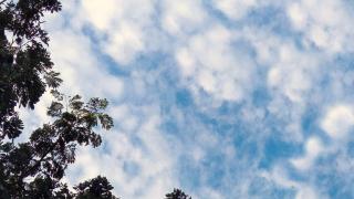042F2BA4-421D-11F1-AA8C-6EBBA19AA718.jpg