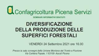 0EF30026-1AB6-11EC-B251-AA23C24C915C.jpg