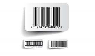 11EDA1D2-FD8F-11EE-918F-73A966C26B32.jpg