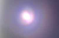 142684216448513.jpg