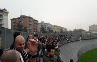 1551110505108333.jpg