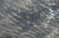 1557478113163620.jpg