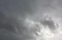 1575279987112877.jpg