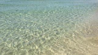 1B4BD326-D848-11EB-92B4-99243655F3F5.jpg