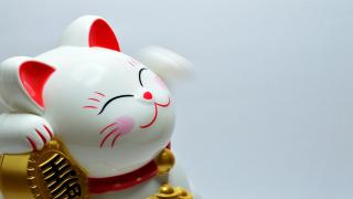 1BF467E0-3FCE-11ED-89A4-7B22C24C915C.jpg