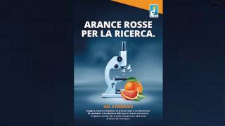 2BD201D2-A3D7-11ED-AFE7-CC2CC24C915C.jpg