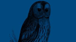 308814E6-4C5D-11EC-B4D2-A9F6C14C915C.jpg