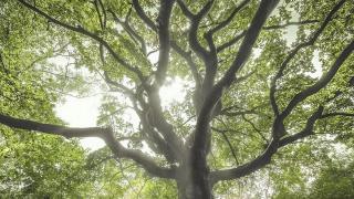 376F1B40-6671-11ED-A69F-C409C24C915C.jpg