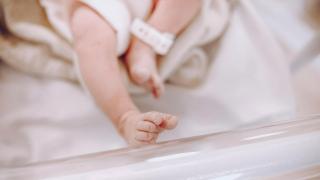 384D5ABE-9534-11F0-B6DF-E970A19AA718.jpg