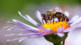 422518D6-6AB8-11EE-B0D3-313CA40AA68D.jpg