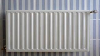 4289EBEE-1764-11EB-831D-F6083655F3F5.jpg