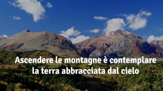49B98F32-0141-11ED-919B-489BC14C915C.jpg