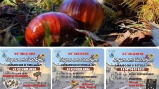 49E452EE-4E08-11ED-9383-FFE7C14C915C.jpg