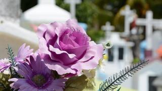 4AEDB6F2-1936-11EB-A37B-0D333655F3F5.jpg