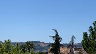 5096BD40-041E-11ED-9981-D399C14C915C.jpg