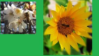 5895416A-D6D3-11EC-BEE1-9174C24C915C.jpg