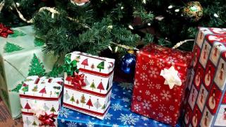 5A388572-616C-11EC-9E17-1BB4C14C915C.jpg