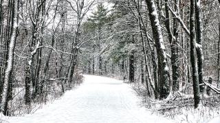 61B1AA16-A78B-11ED-9833-58F3C14C915C.jpg