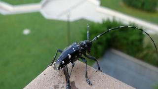 6D749E54-354A-11EB-B259-ECFE3555F3F5.jpg