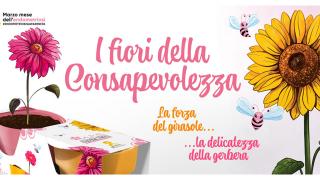 720B83D2-F9BE-11EF-B0FD-3DA35044F848.jpg