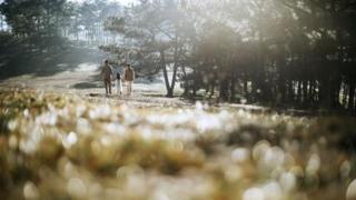 84F8F8FC-F5C3-11EF-AF4B-437E5044F848.jpg
