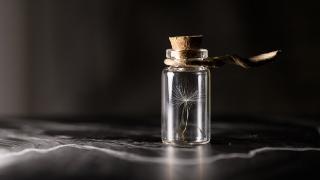 8C3152F8-BA0E-11EB-881D-423D3655F3F5.jpg