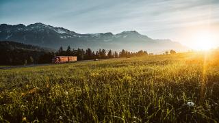 94C40842-EDFE-11EB-BD83-64AE3655F3F5.jpg