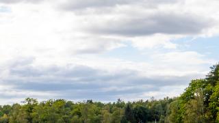 9640B34C-BC00-11ED-B3FF-77B5C14C915C.jpg