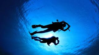 9E64B878-8CAC-11EB-98CE-F2203655F3F5.jpg