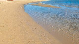A1DADF12-7791-11F0-851D-5044A19AA718.jpg