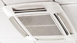 A31CAD0E-8E45-11EB-893A-398E3655F3F5.jpg