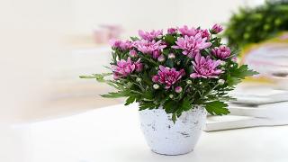 A4BFC54C-3746-11EC-A0E2-DB58C24C915C.jpg