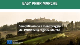 AE2C0274-E5F2-11ED-9F30-975CC24C915C.jpg
