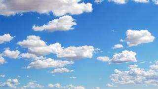 BA950930-0280-11ED-AA71-6306C24C915C.jpg