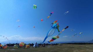 BCEF75AE-6399-11EF-A4A0-43F766C26B32.jpg