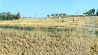 C261C4D6-44B8-11EC-AFBF-BFFEC14C915C.jpg