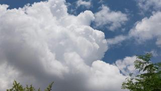 CA906A2C-8C8A-11F0-95F0-EC1AA19AA718.jpg