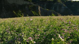 CC97AB34-2169-11EE-8F4A-7732A5239F6D.jpg